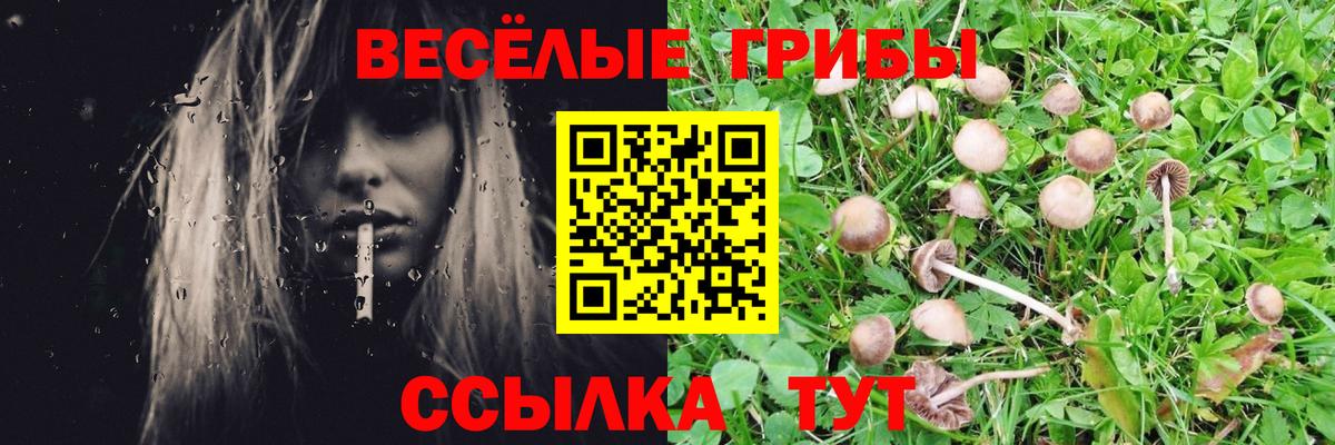наркота  Псилоцибиновые грибы мицелий  Вход с VPN  Сухой Лог 